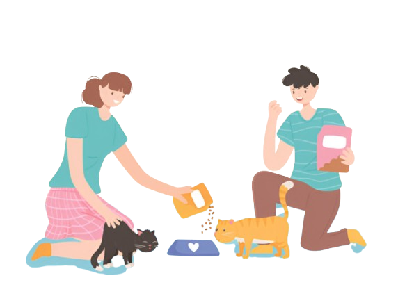 Pet Care App Development