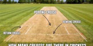 How Many Creases Are There in Cricket
