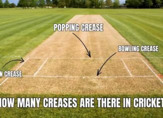 How Many Creases Are There in Cricket? Meaning, Types and Uses How Many Creases Are There in Cricket