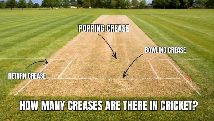 How Many Creases Are There in Cricket
