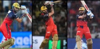 Virat Kohli Runs in IPL 2026: Total Runs, Average, Strike Rate and Highlights Virat Kohli Runs in IPL 2026